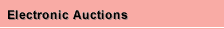 Electronic Auctions