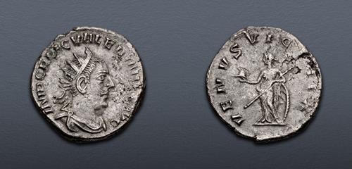 Lot 554 image