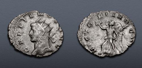 Lot 565 image