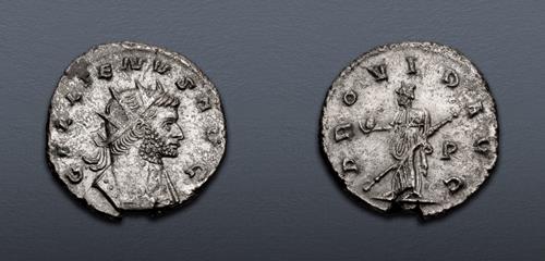 Lot 575 image