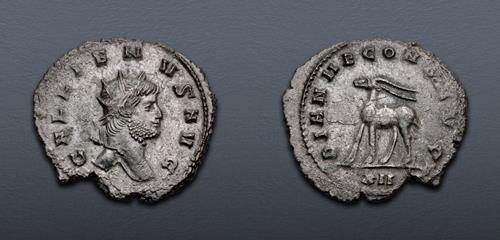 Lot 584 image