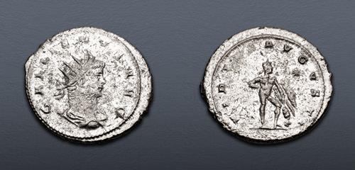 Lot 591 image
