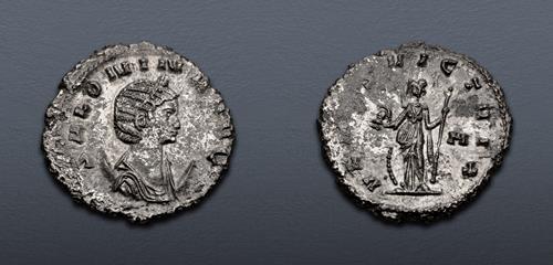 Lot 595 image