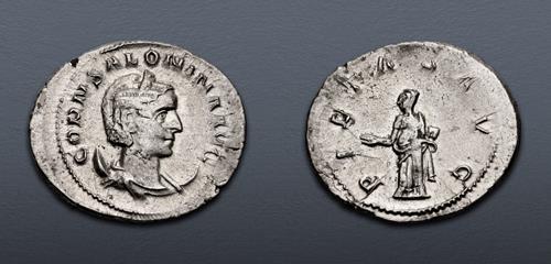 Lot 597 image