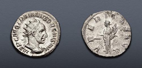 Lot 443 image