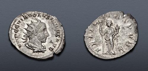 Lot 464 image