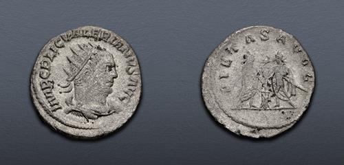 Lot 469 image