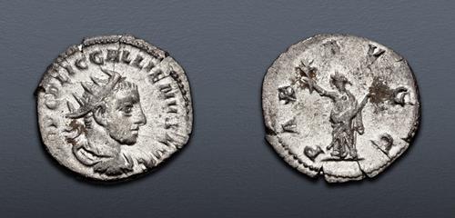 Lot 470 image