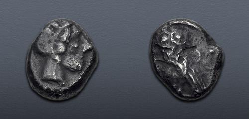 Lot 317 image