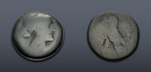 Lot 312 image