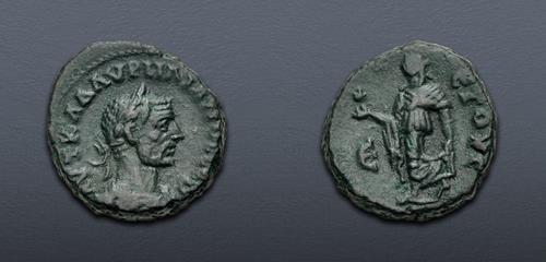 Lot 510 image