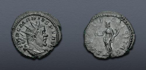 Lot 611 image