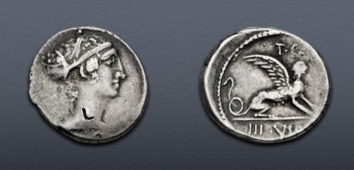 Lot 558 image