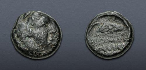 Lot 195 image