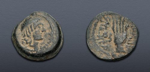 Lot 223 image