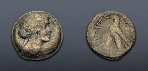 Lot 244 image