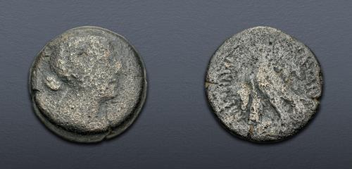 Lot 246 image