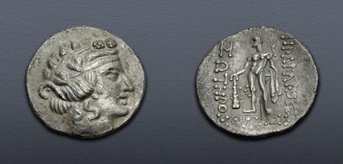 Lot 7 image