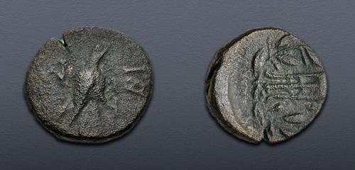 Lot 191 image