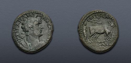 Lot 526 image