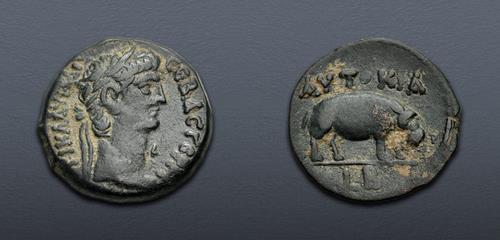 Lot 539 image