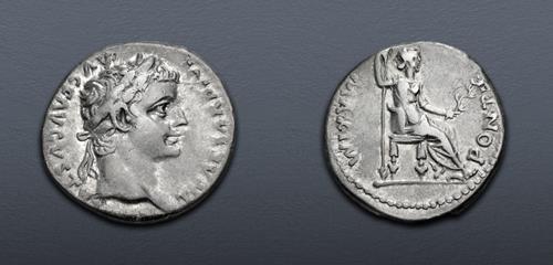 Lot 700 image
