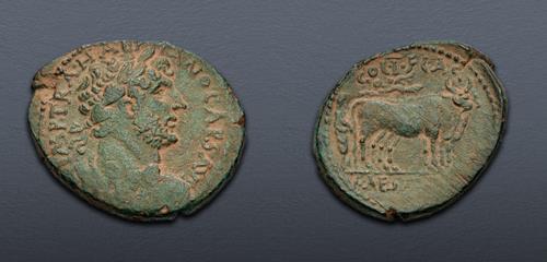Lot 5 image