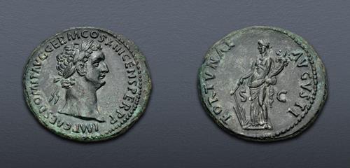 Lot 12 image