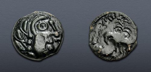 Lot 11 image
