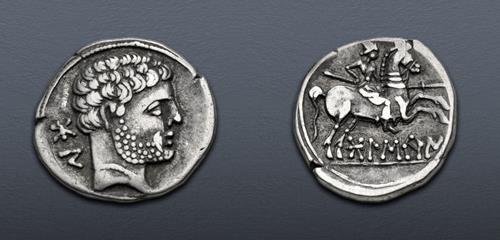 Lot 13 image
