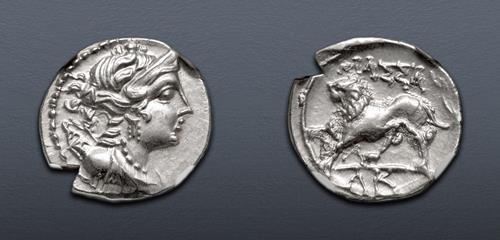 Lot 14 image