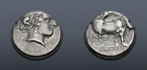 Lot 15 image