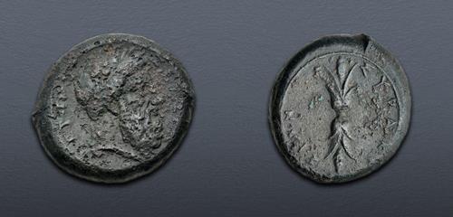 Lot 45 image