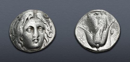 Lot 183 image