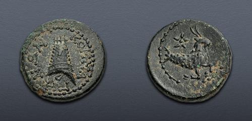 Lot 209 image