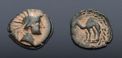 Lot 249 image