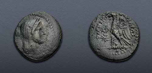 Lot 263 image