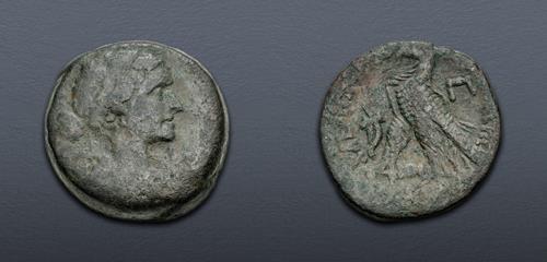 Lot 290 image
