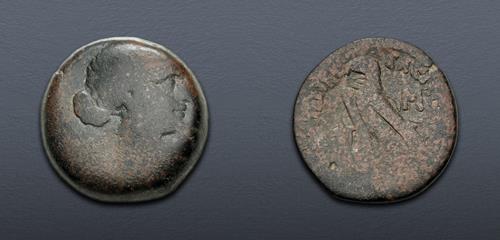 Lot 293 image