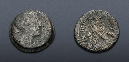 Lot 294 image