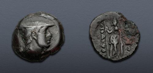 Lot 305 image