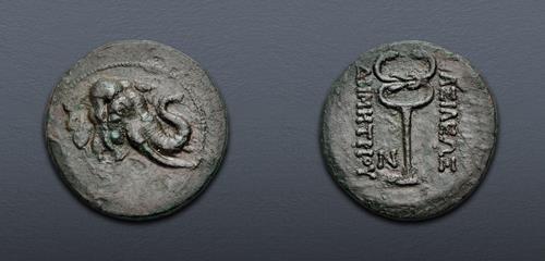 Lot 306 image