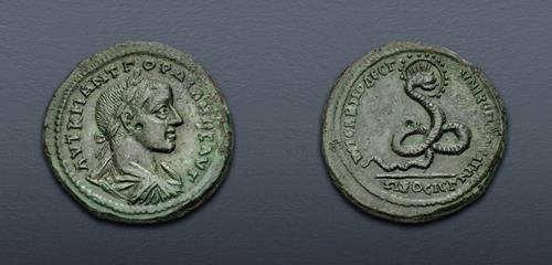 Lot 341 image