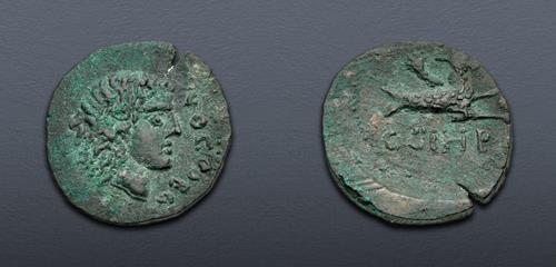 Lot 355 image