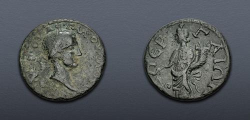 Lot 372 image