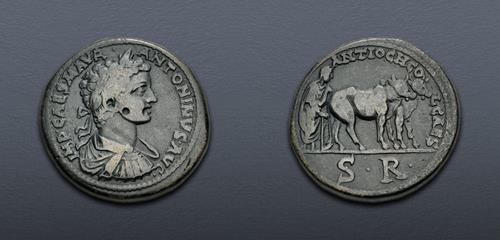 Lot 373 image