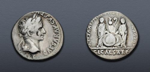 Lot 501 image