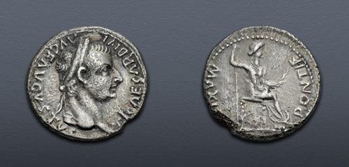 Lot 507 image