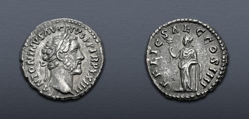 Lot 555 image