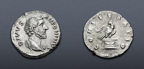 Lot 556 image